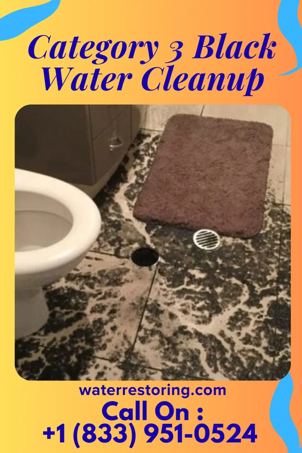 Category 3 Black Water Cleanup in San Antonito, NM